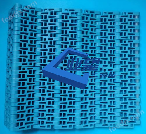 5033塑料網(wǎng)帶 節(jié)距50.8mm